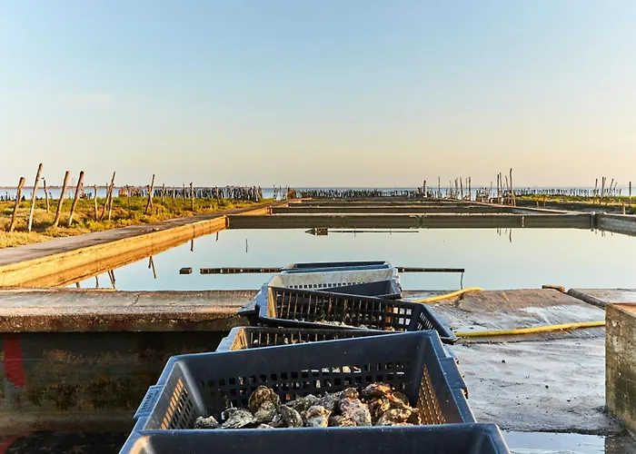 Moderne Proche Et Commerces, Quartier Des Demoiselles ! - Fr-1-323-512 * Saint-Jean-de-Monts