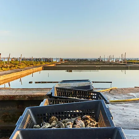 Moderne Proche Et Commerces, Quartier Des Demoiselles ! - Fr-1-323-512 * 생장드몽