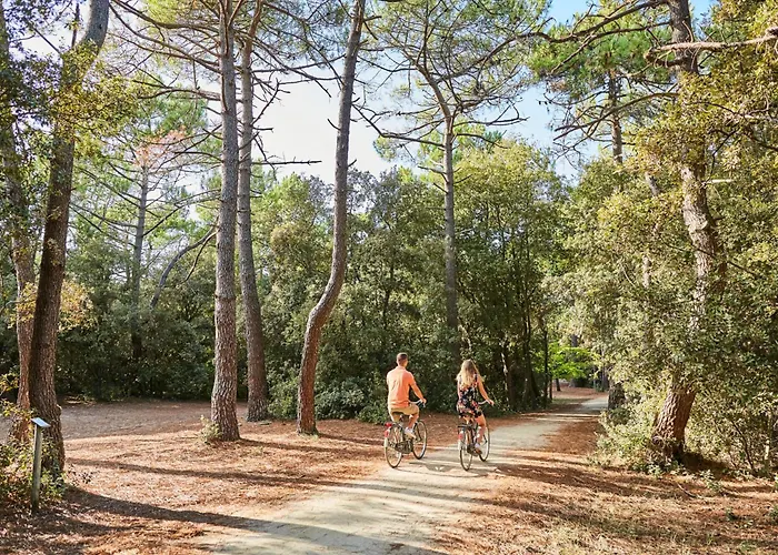 Moderne Proche Et Commerces, Quartier Des Demoiselles ! - Fr-1-323-512